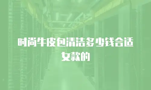 时尚牛皮包清洁多少钱合适女款的