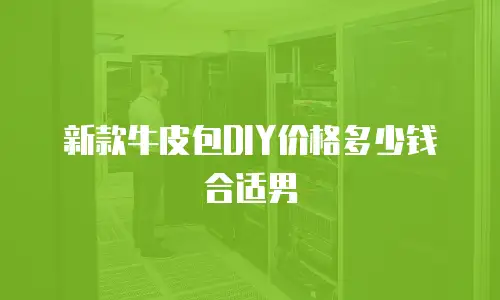 新款牛皮包DIY价格多少钱合适男