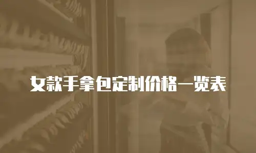 女款手拿包定制价格一览表
