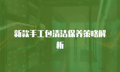 新款手工包清洁保养策略解析