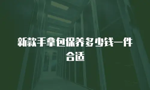 新款手拿包保养多少钱一件合适