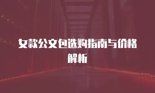 女款公文包选购指南与价格解析