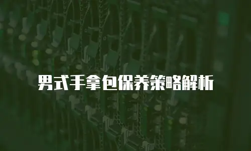 男式手拿包保养策略解析
