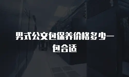 男式公文包保养价格多少一包合适