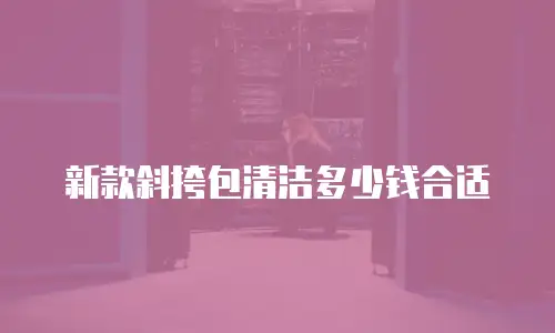 新款斜挎包清洁多少钱合适