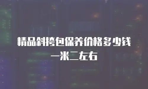 精品斜挎包保养价格多少钱一米二左右
