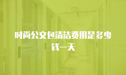 时尚公文包清洁费用是多少钱一天
