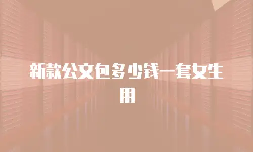 新款公文包多少钱一套女生用