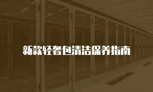 新款轻奢包清洁保养指南