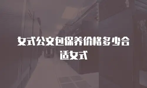 女式公文包保养价格多少合适女式