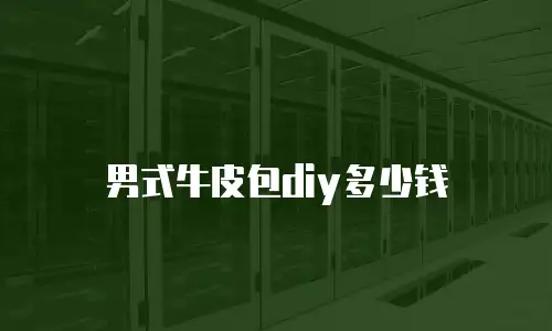 男式牛皮包diy多少钱