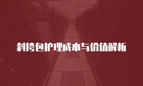 斜挎包护理成本与价值解析