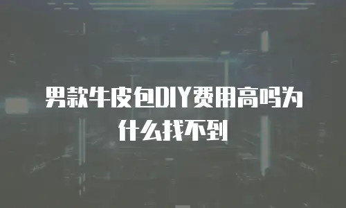 男款牛皮包DIY费用高吗为什么找不到