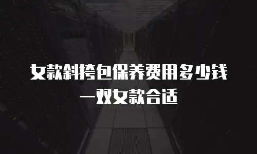 女款斜挎包保养费用多少钱一双女款合适