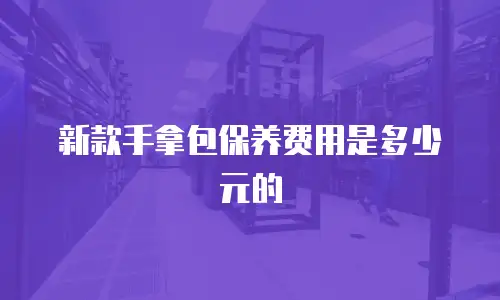 新款手拿包保养费用是多少元的