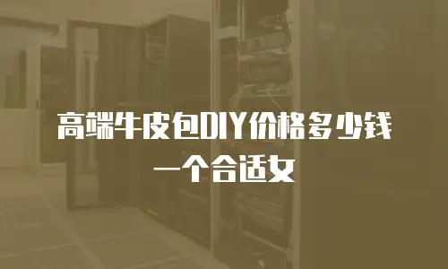 高端牛皮包DIY价格多少钱一个合适女