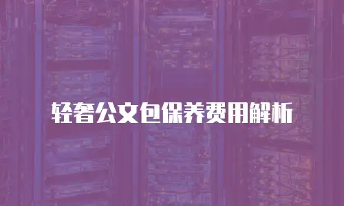 轻奢公文包保养费用解析