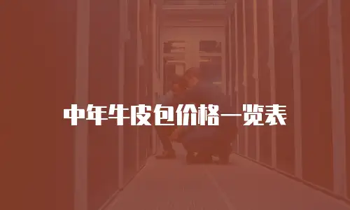 中年牛皮包价格一览表