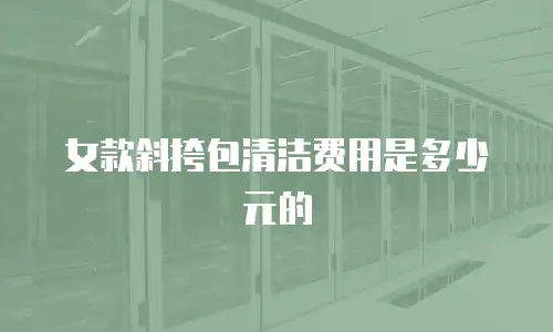 女款斜挎包清洁费用是多少元的