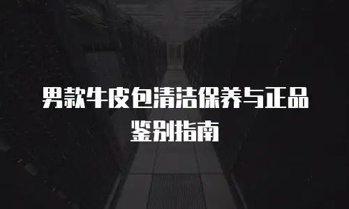 男款牛皮包清洁保养与正品鉴别指南