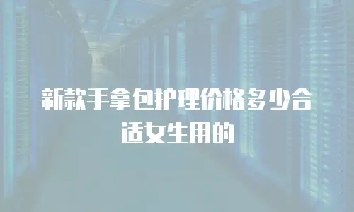 新款手拿包护理价格多少合适女生用的