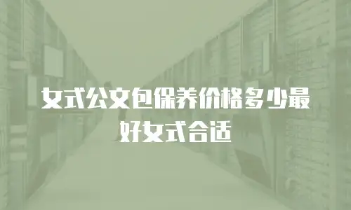 女式公文包保养价格多少最好女式合适