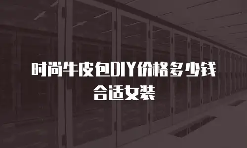 时尚牛皮包DIY价格多少钱合适女装