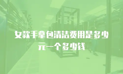 女款手拿包清洁费用是多少元一个多少钱