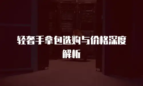 轻奢手拿包选购与价格深度解析