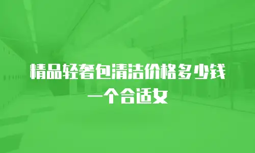 精品轻奢包清洁价格多少钱一个合适女