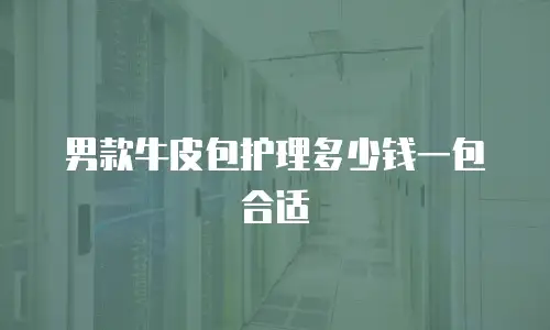 男款牛皮包护理多少钱一包合适