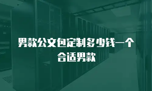 男款公文包定制多少钱一个合适男款