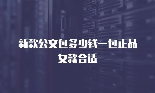 新款公文包多少钱一包正品女款合适