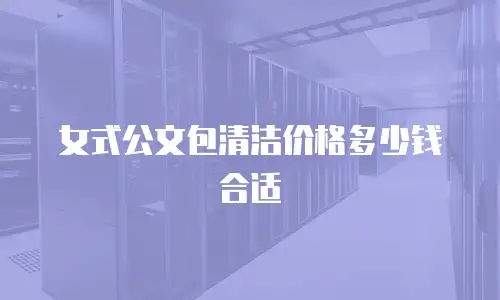 女式公文包清洁价格多少钱合适