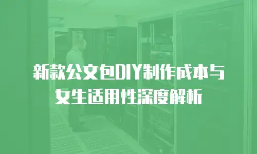 新款公文包DIY制作成本与女生适用性深度解析