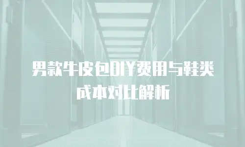 男款牛皮包DIY费用与鞋类成本对比解析