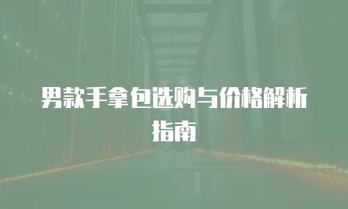 男款手拿包选购与价格解析指南
