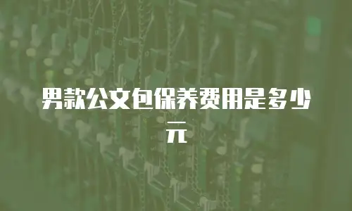男款公文包保养费用是多少元