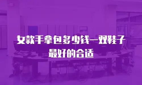 女款手拿包多少钱一双鞋子最好的合适