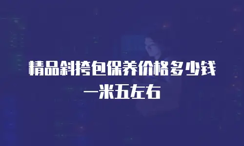 精品斜挎包保养价格多少钱一米五左右