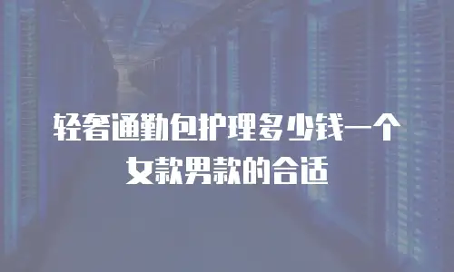轻奢通勤包护理多少钱一个女款男款的合适