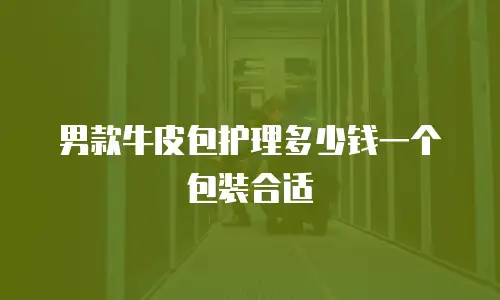 男款牛皮包护理多少钱一个包装合适