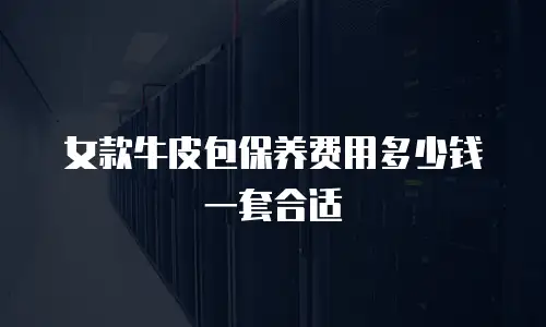 女款牛皮包保养费用多少钱一套合适