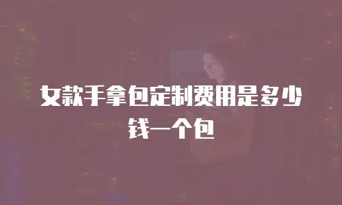 女款手拿包定制费用是多少钱一个包