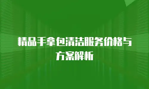 精品手拿包清洁服务价格与方案解析