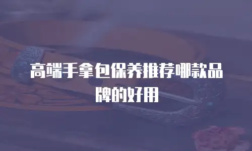 高端手拿包保养推荐哪款品牌的好用