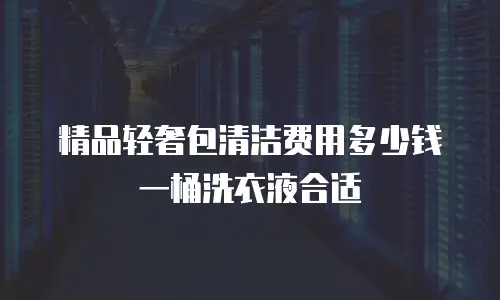 精品轻奢包清洁费用多少钱一桶洗衣液合适