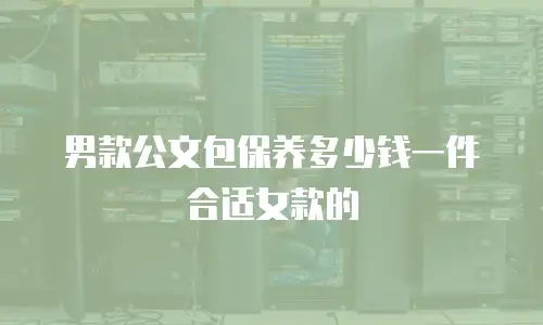 男款公文包保养多少钱一件合适女款的