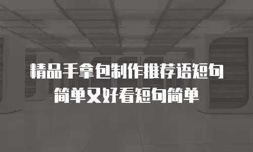 精品手拿包制作推荐语短句简单又好看短句简单