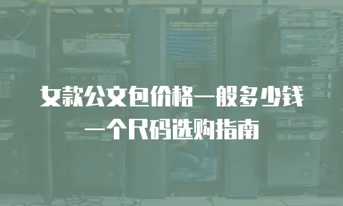 女款公文包价格一般多少钱一个尺码选购指南